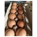 1 Doz. Maran Eggs