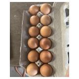 1 Doz. Maran Eggs