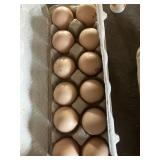 light calico brahma hatching eggs