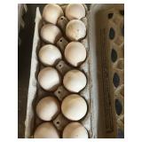 chocolate orpington hatching eggs
