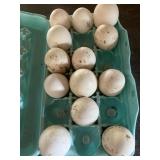 turkey hatching eggs assorted naragessett , red bn