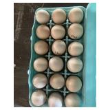 chocolate orpington hatching eggs