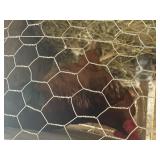 rooster