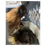 BARNYARD MIX ROOSTERS