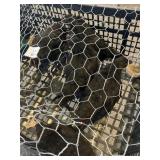 Black Bantam chicks