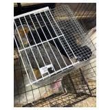 1 black/ 1 mix  gray Cochin