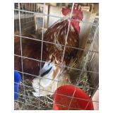 millie flurer cochin