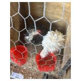 frizzle serama