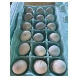 18PK OLD ENGLISH BANTAM