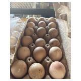 18CT GUNIEA EGGS