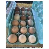 18PK LAUGHING CHICKEN