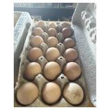 18CT GUINEA EGGS