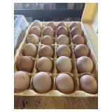 24CT GUINEA EGGS