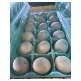 18PK OLD ENGLISH BANTAM