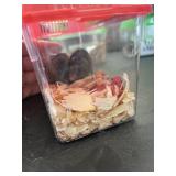 Black Nile Spiny Mice, 6 Mo. Old