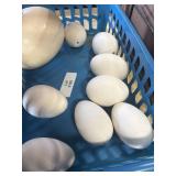 8 blowed goose eggs