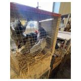PAIR BLUE BANTAMS
