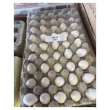 45 blowed quail eggs