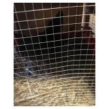 Barred Old English Pair