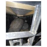 Guineas