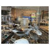 Button Quail