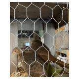 Red Golden Pheasants