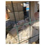 turkey pullets