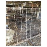 Pair of Gable Quail & 1 Male Caltraina Quail