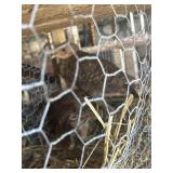 red golden pheasants