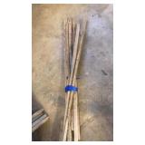 10 tobacco sticks