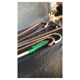 5 canes. Shovel and bag