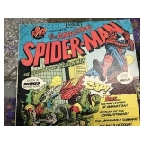 Spider-Man Record