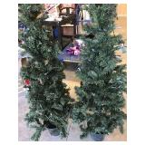 Christmas Trees