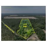 14± Acre Recreation, Homesites & Investment Tract | Boston, GA