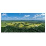 A Recreational Paradise Awaits | 241± Acres | Alapaha, GA