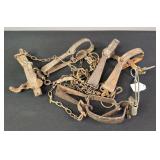 Assortment of Foothold Animal Traps