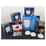 Various Size Light Bulbs