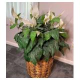 Faux Peace Lilly