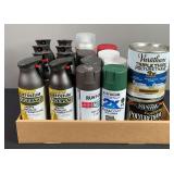 Spray Paint & Misc