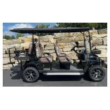 SD Lanch 2026 Golf Cart