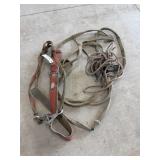 Harness and rope straps