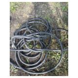 Hose