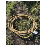 Air hose