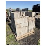 Pallet of  Cinder Blocks    (65)