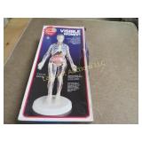 vintage visible woman model kit