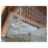 pet wild animal cage