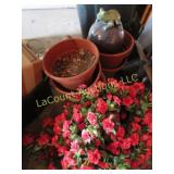 planter pots realistic artificial flowers Frog