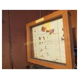 framed insect bug display
