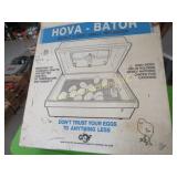 Egg chick incubator in box