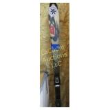 Elan downhill skiis